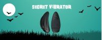 Purchase Secret Vibrator Sex Toys in Ranchi and Jamshedpur